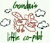 Grandpa's Little Co Pilot Tee Shirt